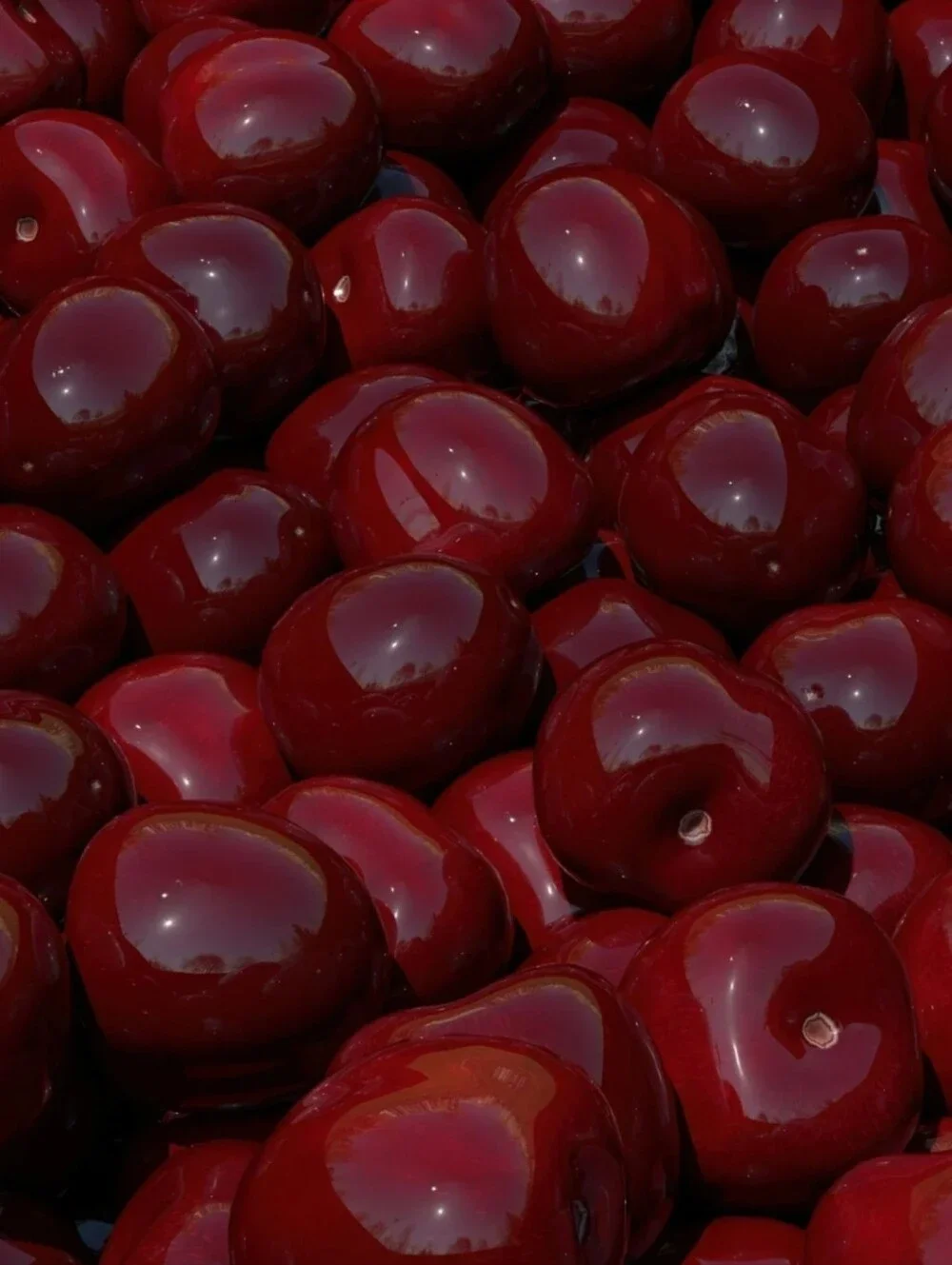 Sand & Fog Body Butter ~ Cherry Oud